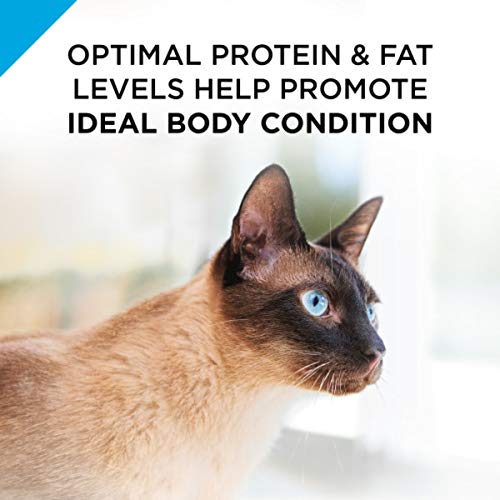 Purina Pro Plan Urinary Tract Health Salmon Pate Wet Cat Food, 3 oz.