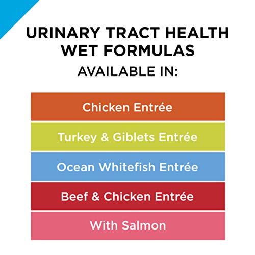 Purina Pro Plan Urinary Tract Health Salmon Pate Wet Cat Food, 3 oz.