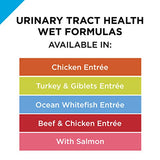 Purina Pro Plan Urinary Tract Health Salmon Pate Wet Cat Food, 3 oz.
