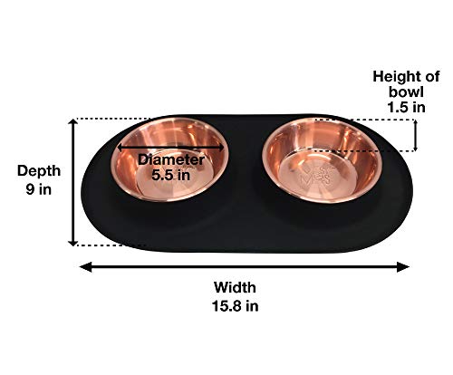 Messy Mutts Double Silicone Feeder, Medium (1.5 Cups)