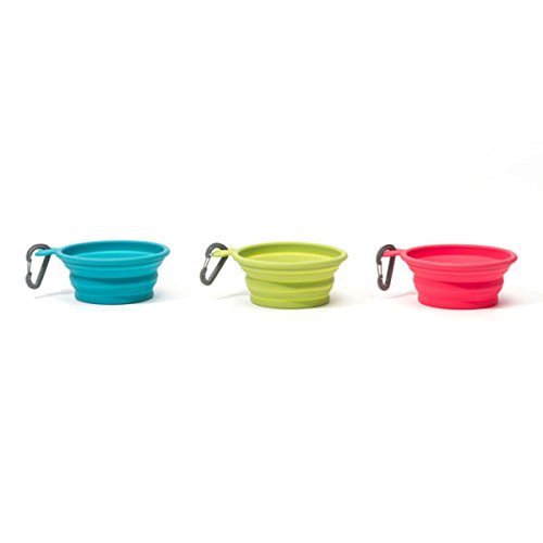 Messy Mutts Small Silicone Collapsible Pet Bowl, 1.75 Cups