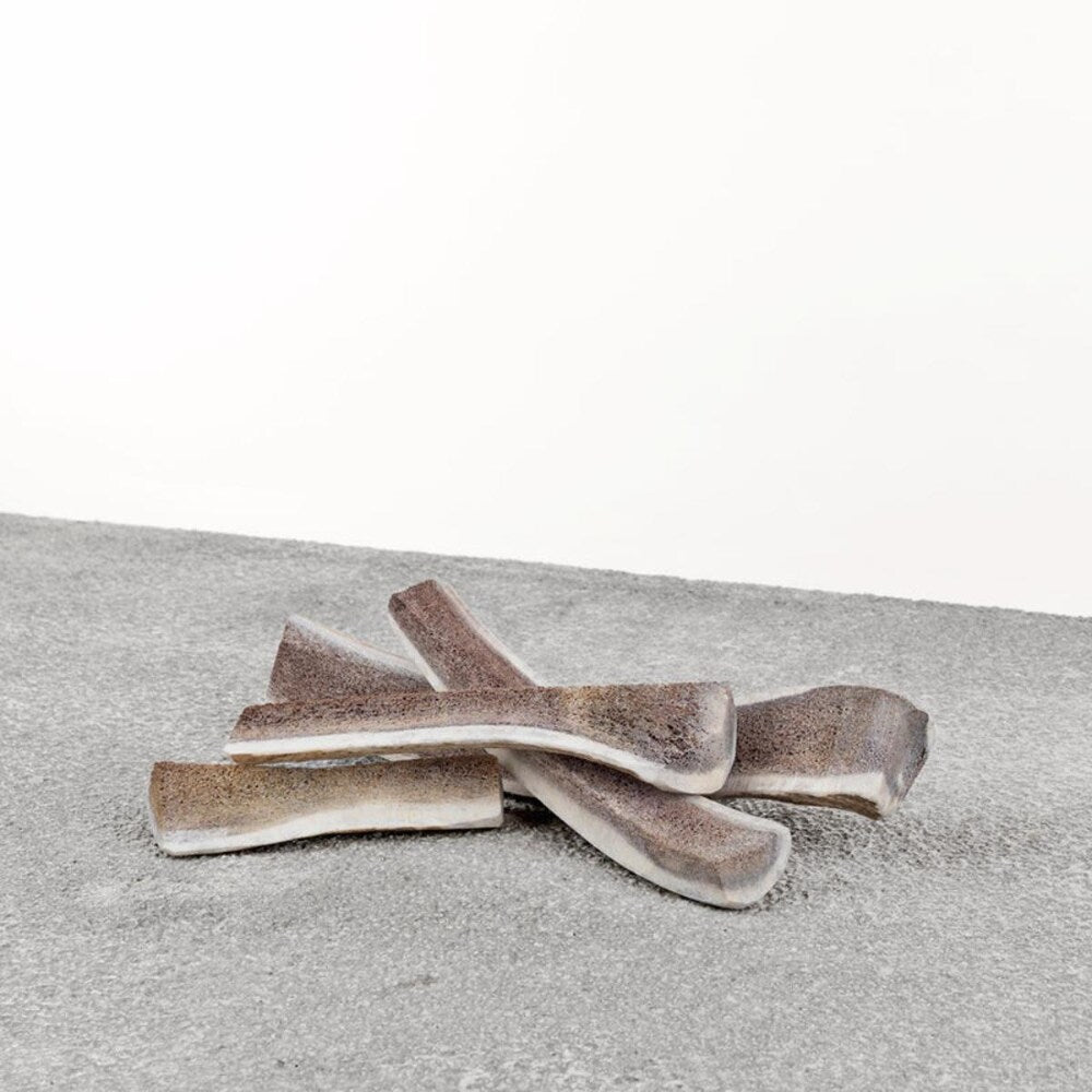 Primal Elk Antler Dog Chew Medium