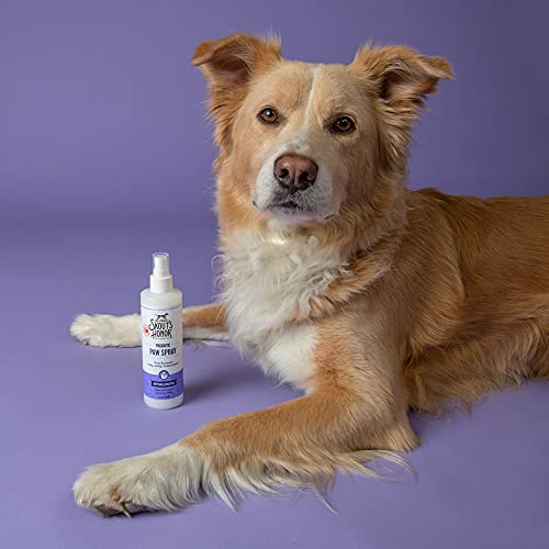 Skout's Honor Probiotic Paw Spray for Dogs