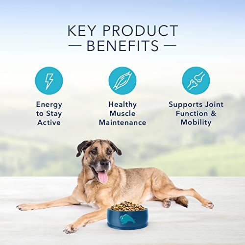 Blue Buffalo Life Protection Formula Senior Chicken & Brown Rice Dry Dog Food 5lb