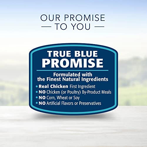 Blue Buffalo Small Breed Chicken & Rice Dry Dog Food, 5 lbs.