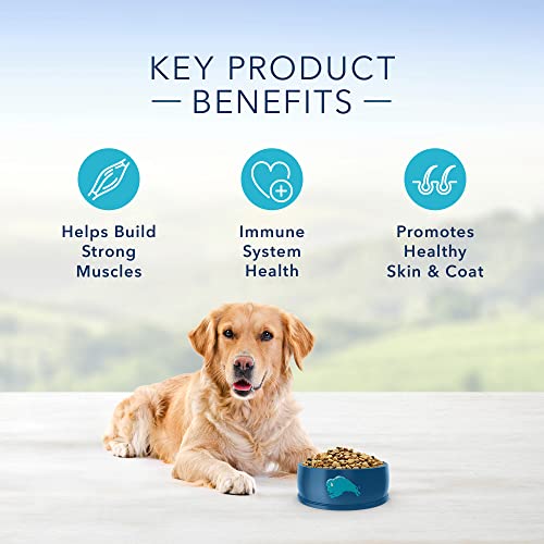 Blue Buffalo Beef & Brown Rice Dry Dog Food, 5 lbs.
