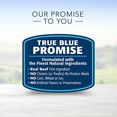 Blue Buffalo Beef & Brown Rice Dry Dog Food, 5 lbs.