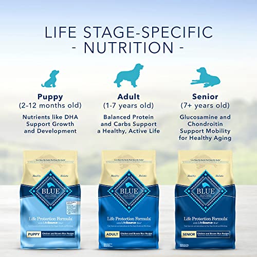 Blue Buffalo Beef & Brown Rice Dry Dog Food, 5 lbs.