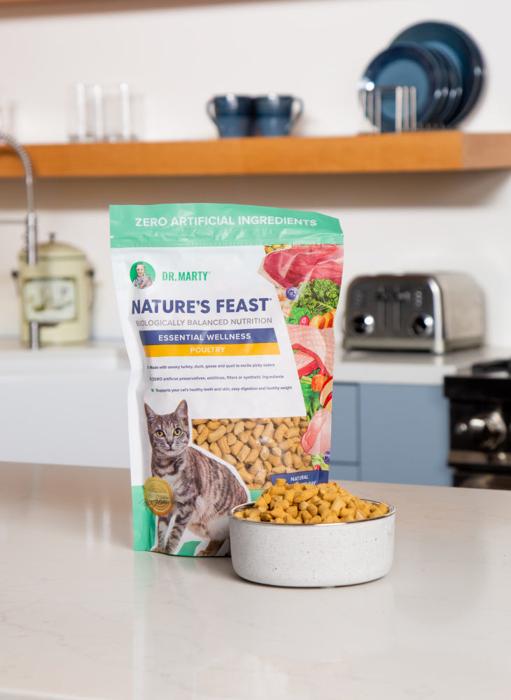 Dr. Marty Nature's Feast Freeze-Dried Raw Poultry Cat Food 12oz