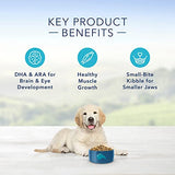 Blue Buffalo Chicken & Brown Rice Dry Puppy Food, 5 lbs.