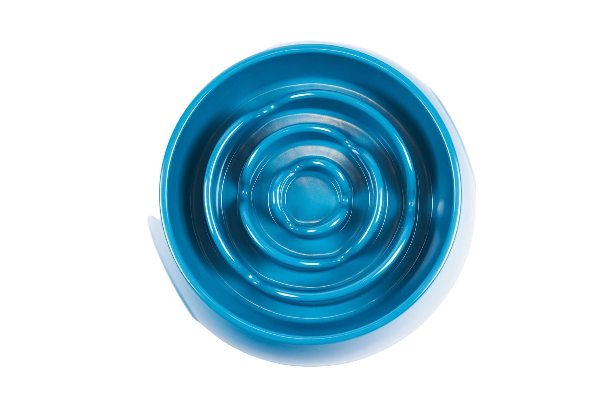 Messy Mutts Slow Feeder for Dogs Blue, 3 Cups