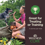 Wellness CORE Tiny Trainers Lamb & Apple Dog Treats, 6 oz.
