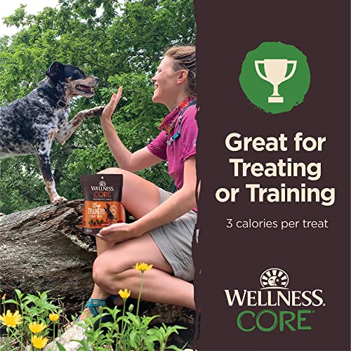 Wellness CORE Tiny Trainers Lamb & Apple Dog Treats, 6 oz.
