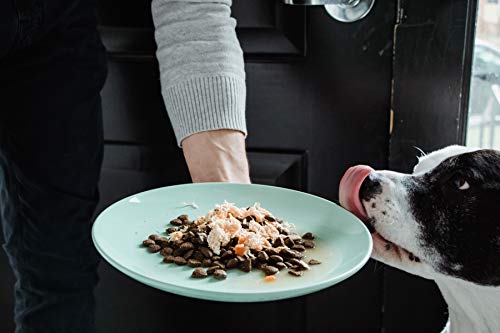 Nulo FreeStyle Mackerel, Chicken & Mussel in Broth Dog Food Topper, 2.8 oz.