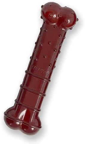 Nylabone Textured Bone Power Chew Roasted Chicken Flavor Dog Toy, Medium