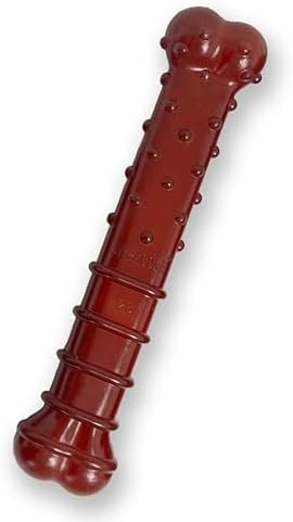 Nylabone Textured Bone Power Chew Roasted Chicken Flavor Dog Toy, Medium