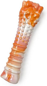 Nylabone Textured Bone Power Chew Roasted Chicken Flavor Dog Toy, Medium