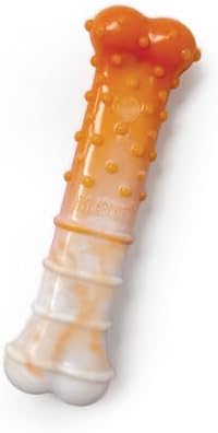 Nylabone Textured Bone Power Chew Roasted Chicken Flavor Dog Toy, Medium