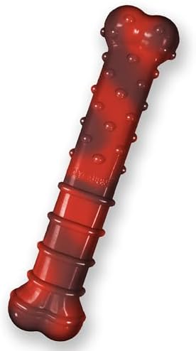 Nylabone Textured Bone Power Chew Roasted Chicken Flavor Dog Toy, Medium
