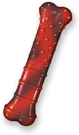 Nylabone Textured Bone Power Chew Roasted Chicken Flavor Dog Toy, Medium