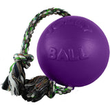 Jolly Pets Romp-n-Roll Ball Dog Toy, 6 in.
