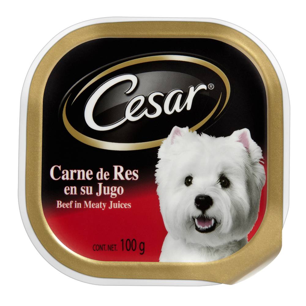 Cesar Beef Recipe Wet Dog Food, 3.5 oz. Tray