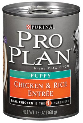 Purina Pro Plan Chicken & Rice Wet Puppy Food, 13 oz.