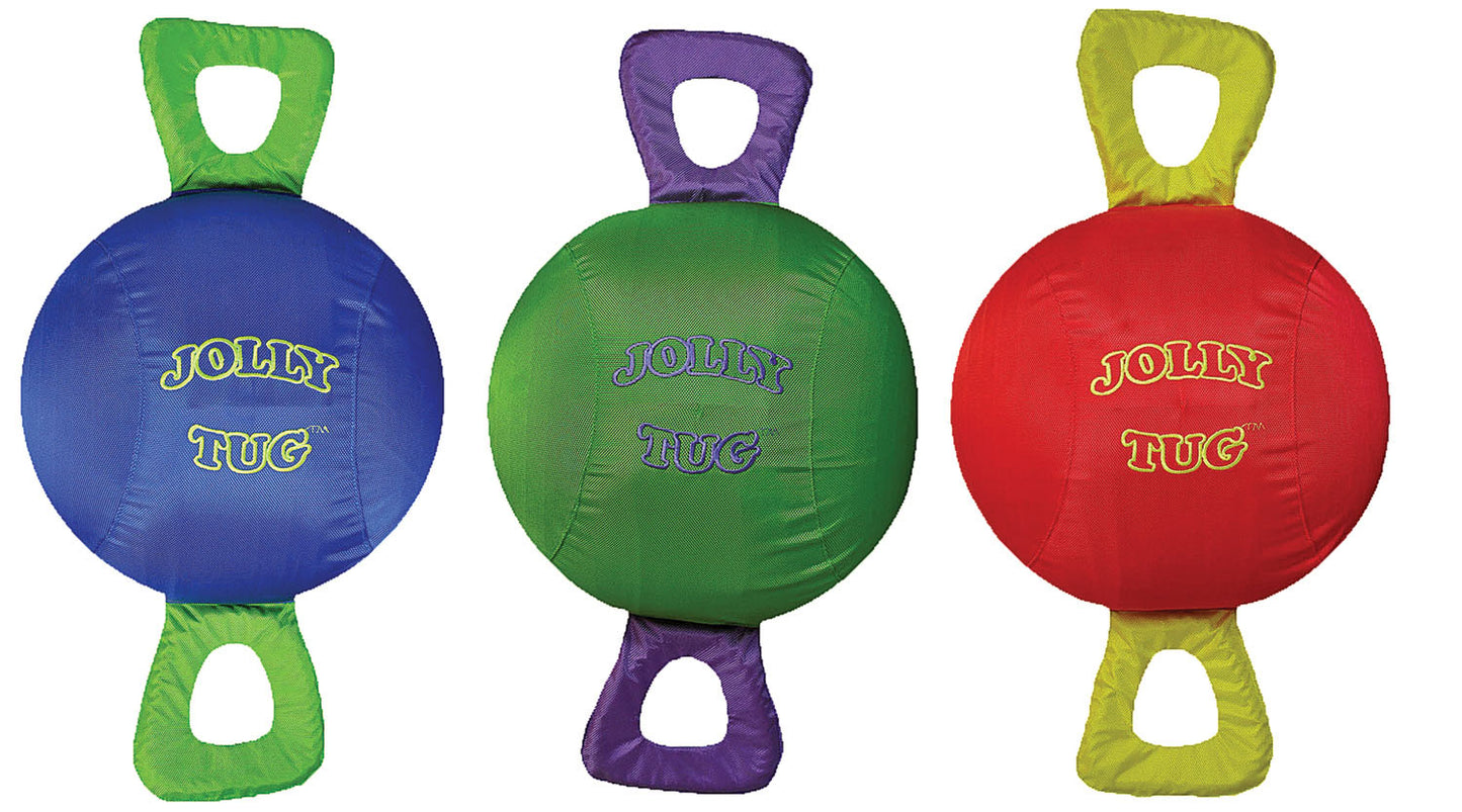 Jolly Pets Squeaking Multi-Color Dog Toy, Large