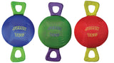 Jolly Pets Squeaking Multi-Color Dog Toy, Large