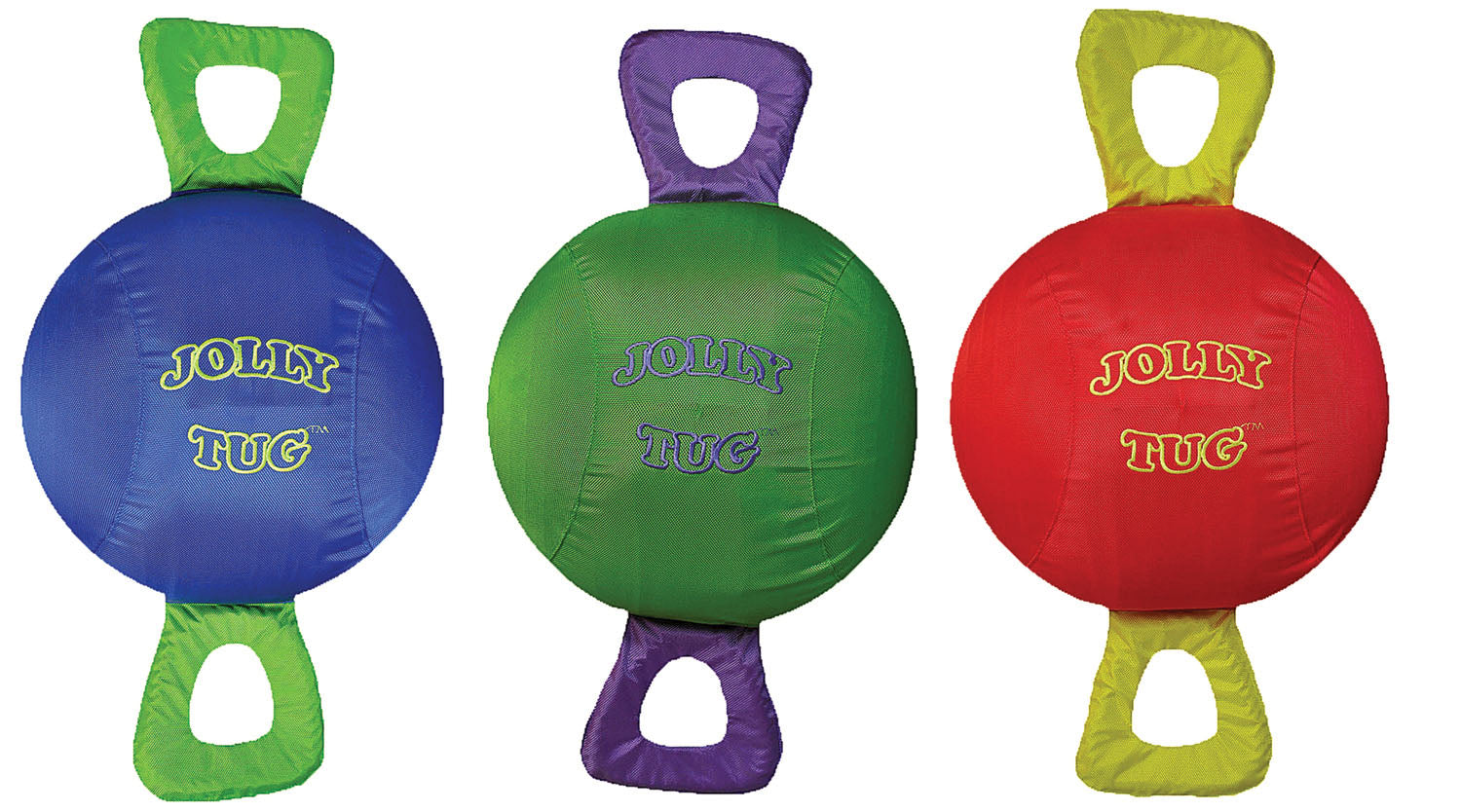 Jolly Pets Squeaking Multi-Color Dog Toy, Large