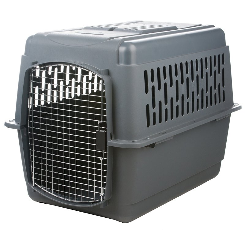 Petmate Pet Porter Dog Kennel 24.1 X 16.73 X 14.5 Inches Gray