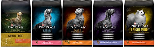 Purina Pro Plan Sensitive Skin & Stomach Salmon & Rice Dry Dog Food, 33 lbs.