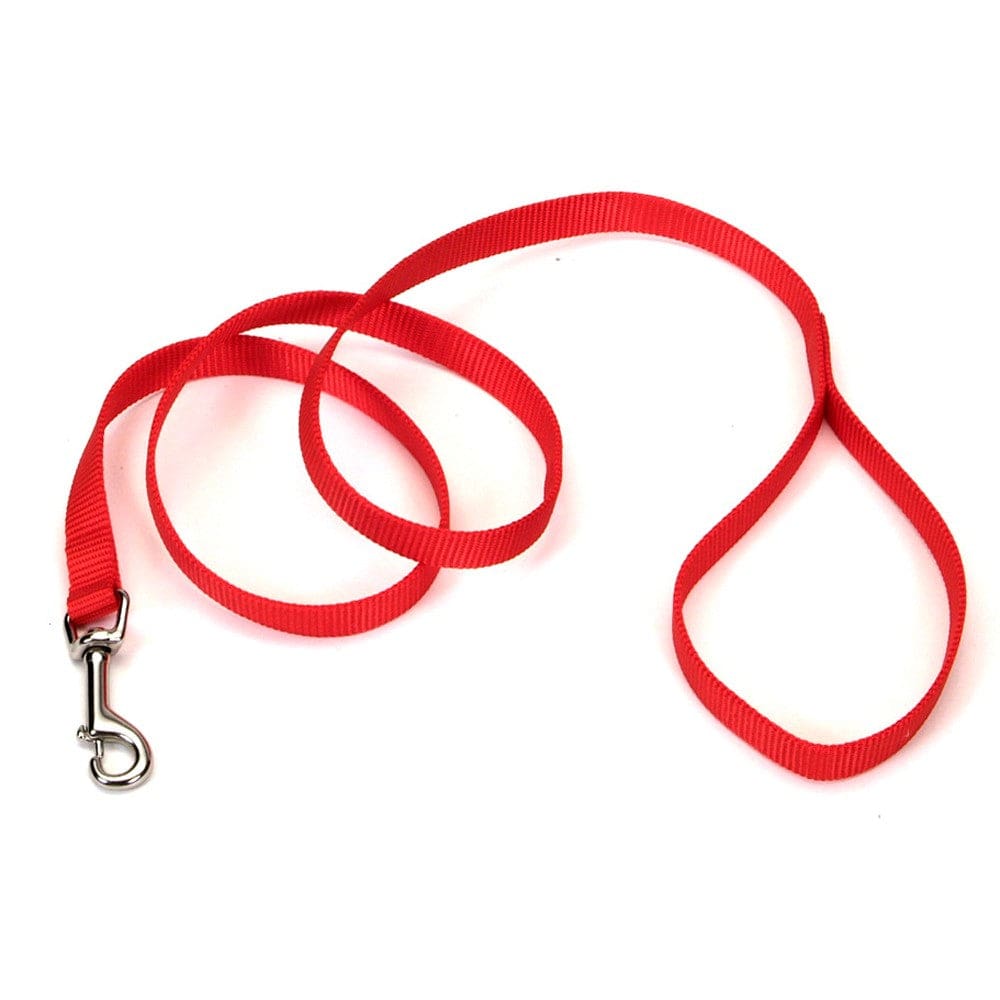 Regent Nylon Dog Leash Red, 3/4 in. x 6 ft.