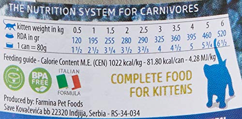 Farmina N&D Ocean Kitten Cod/Tuna/Shrimp/Pumpkin Gestating & Lactating Can 2.5 oz