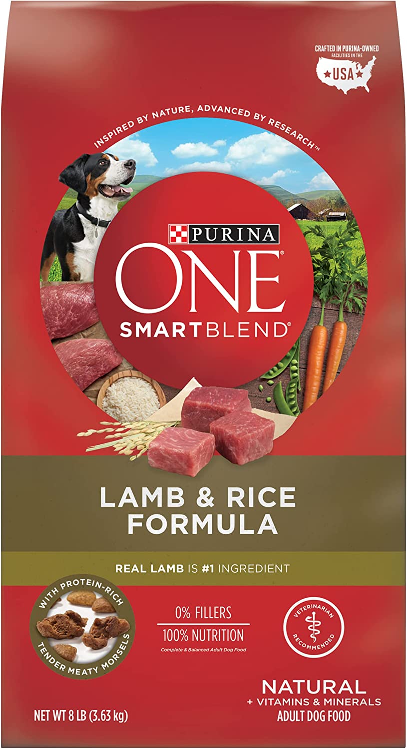 Purina ONE Lamb & Rice Dry Dog Food, 8 lbs.