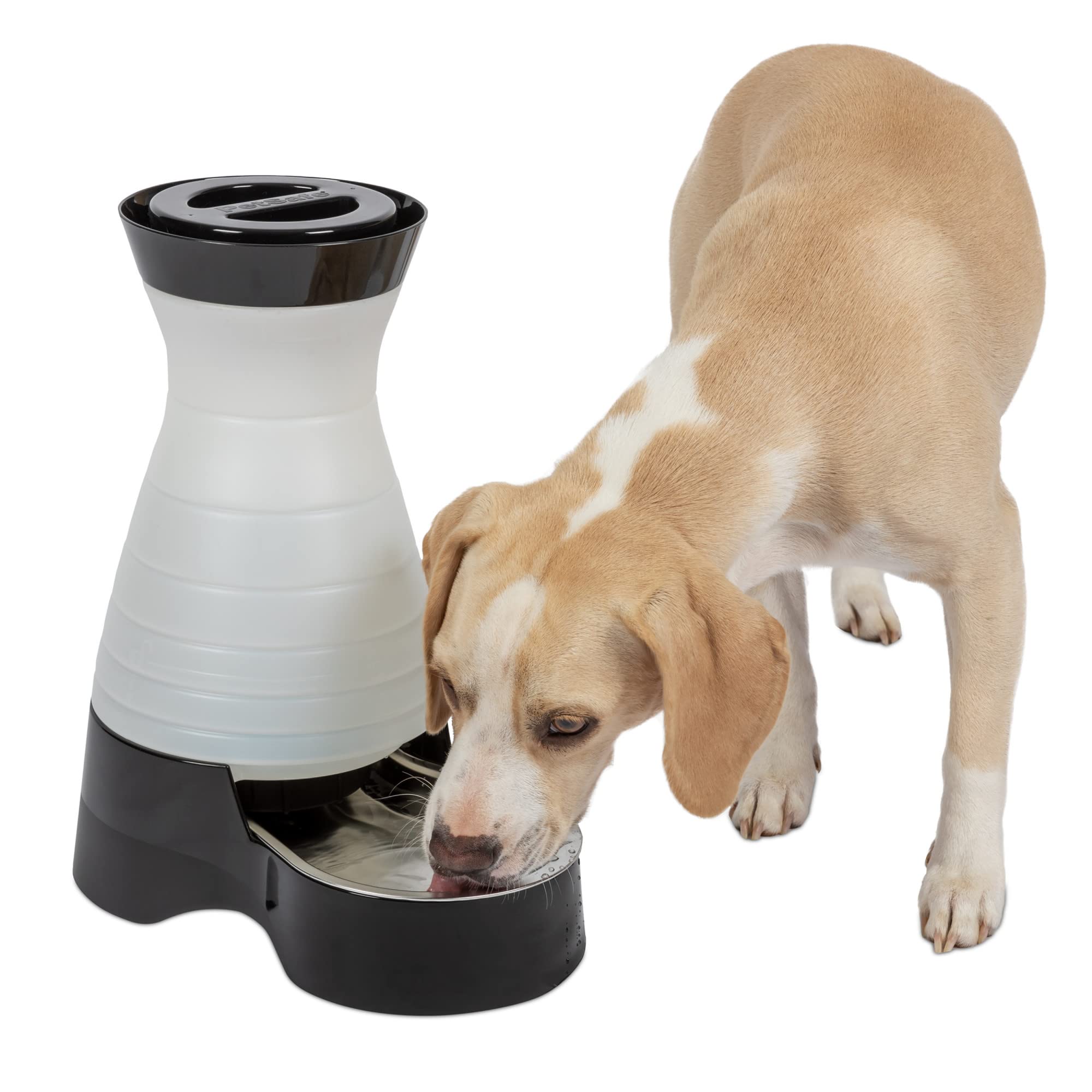 PetSafe Healthy Pet Water Station, 1 Gallon