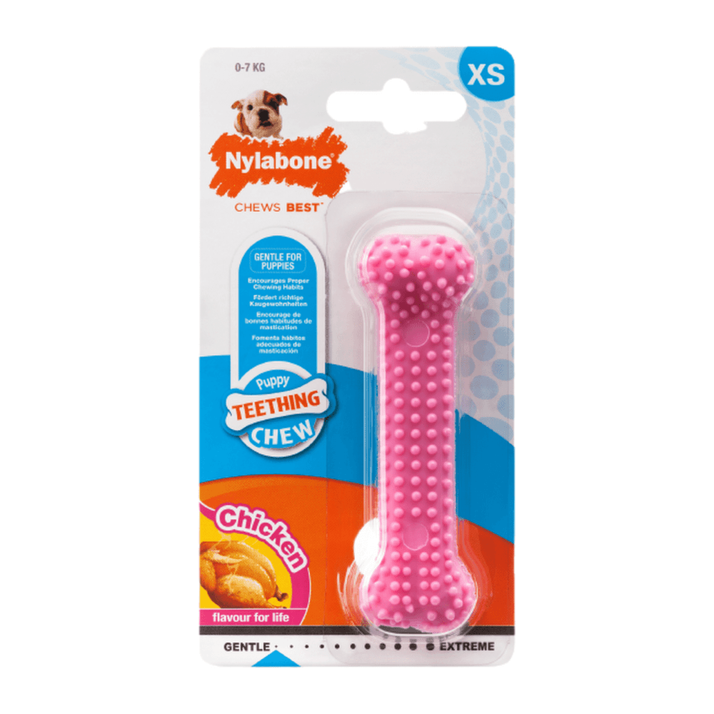 Nylabone Puppy Chew Teething Bone Chicken Flavor, X-Small