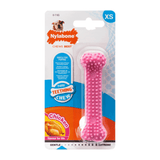 Nylabone Puppy Chew Teething Bone Chicken Flavor, X-Small