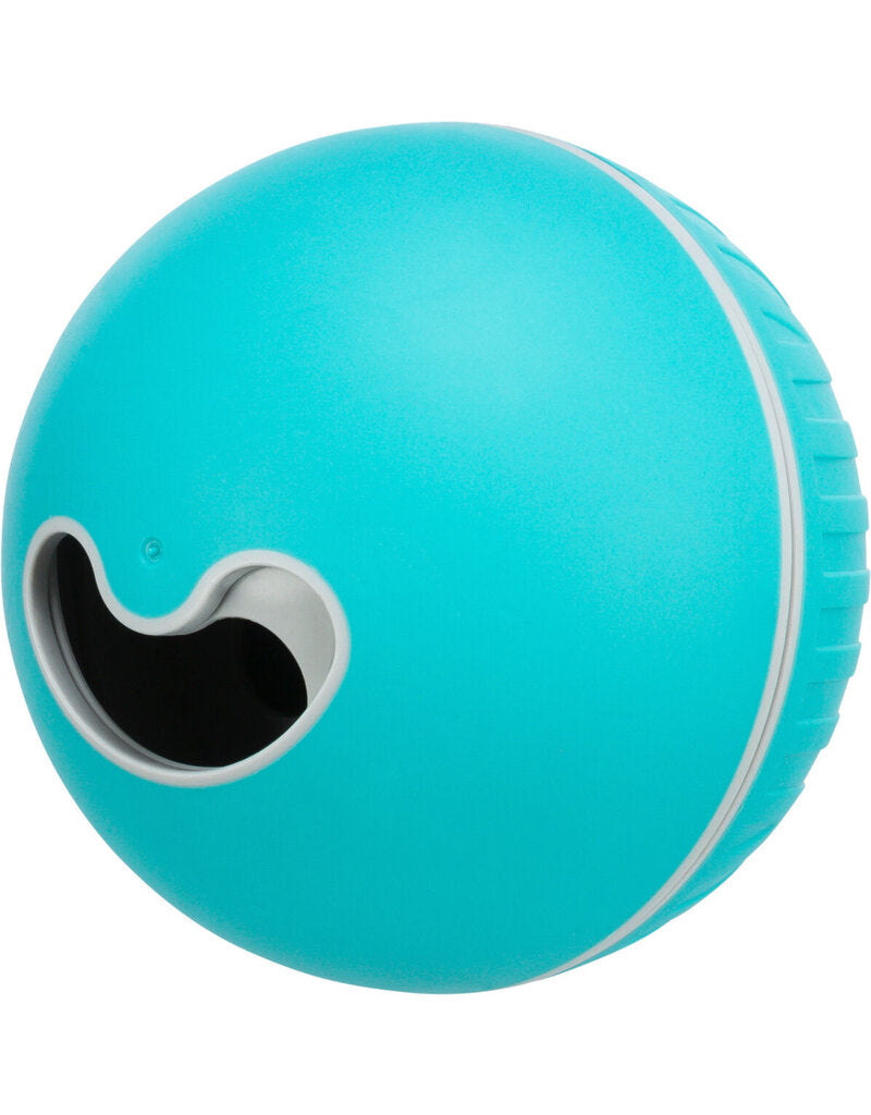 Trixie Plastic Dog Ball, Medium