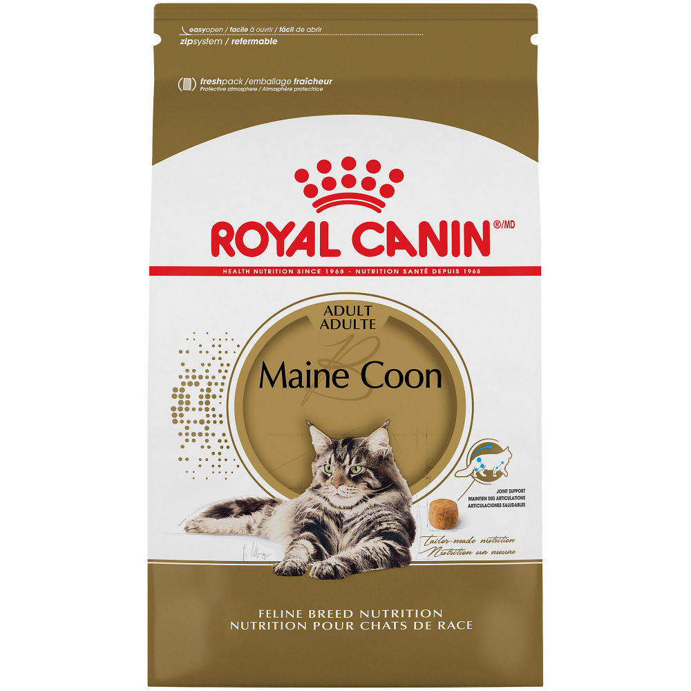 Royal Canin Maine Coon Adult Dry Cat Food 6lb Bag