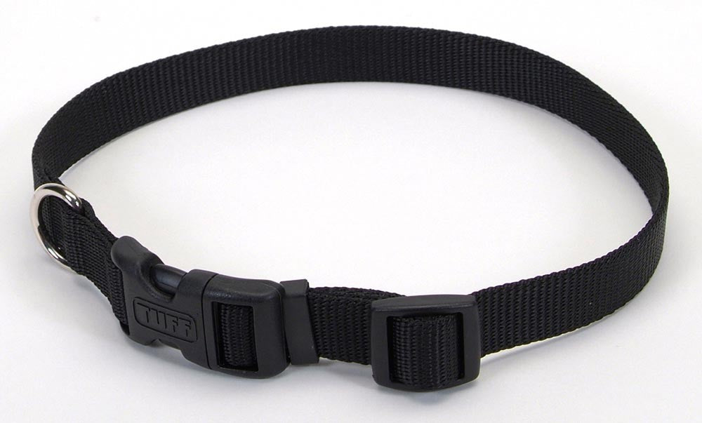 Coastal Black Adjustable Nylon Dog Collar, 1 x 14-20 in.