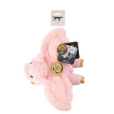 Tall Tails Flying Pig Dog Toy