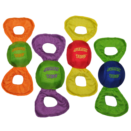 Jolly Pets Squeaking Multi-Color Dog Toy, Large