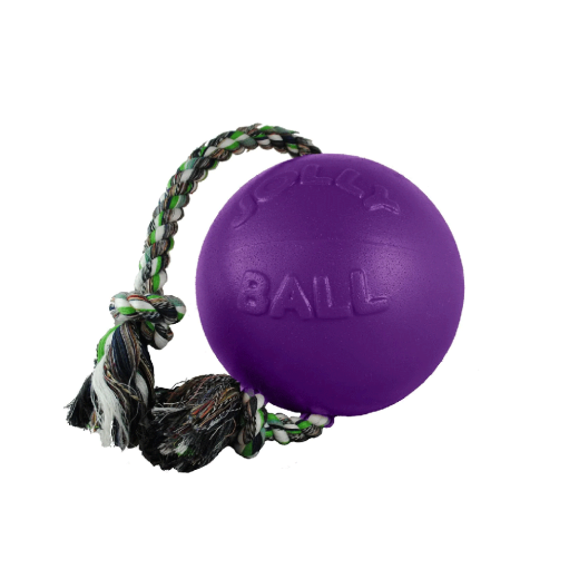 Jolly Pets Romp-n-Roll Purple Rubber Ball with Rope Dog Toy, 4.5 in.