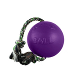 Jolly Pets Romp-n-Roll Purple Rubber Ball with Rope Dog Toy, 4.5 in.