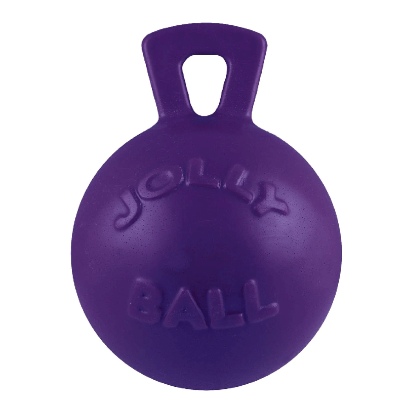 Jolly Pets Tug-n-Toss Purple Rubber Dog Chew Toy, 6 in.