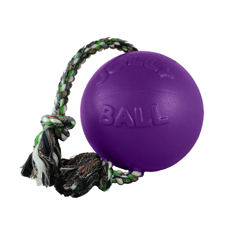Jolly Pets Romp-n-Roll Ball Dog Toy, 6 in.