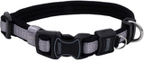 Coastal Inspire Enhanced Core Adjustable Dog Collar Grey, 5/8 in. x 8-12 in.