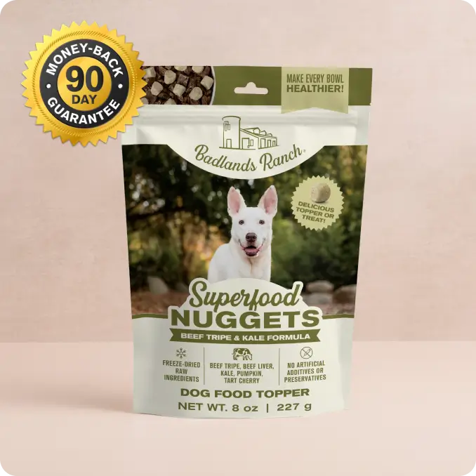 Badlands Ranch Freeze Dried Superfood Beef Tripe And Kale Nuggets Dog 8 oz Bag