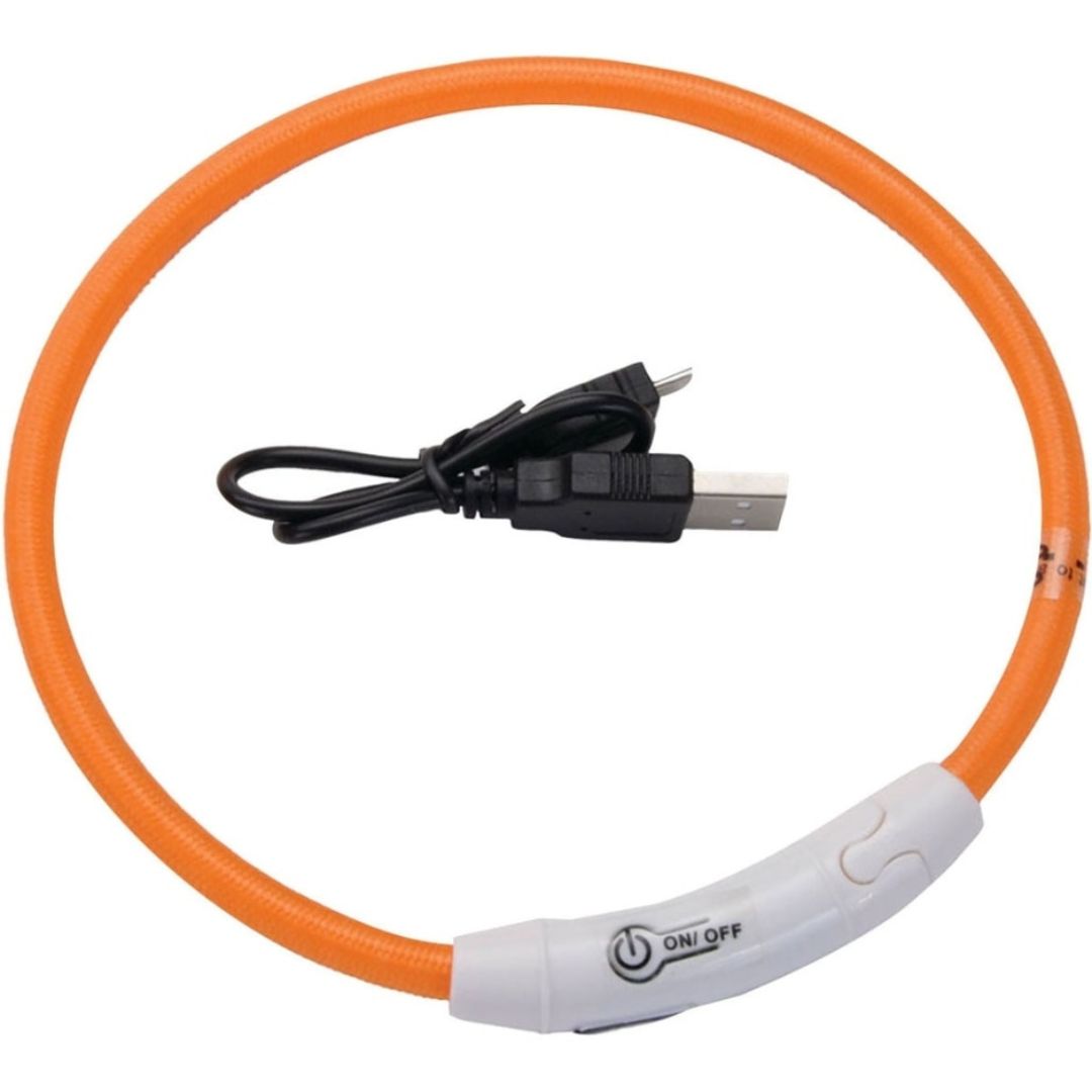 Coastal USB Light-Up Neck Ring for Cats, 16 in.